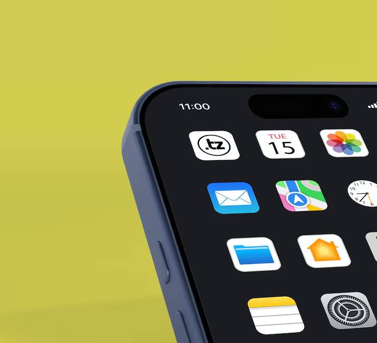 iOS App Development